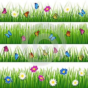 Green grass with flowers and butterflies. Seamless vector set