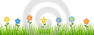 Green grass and flowers vector background