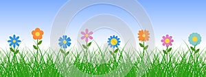 Green grass and flowers vector background