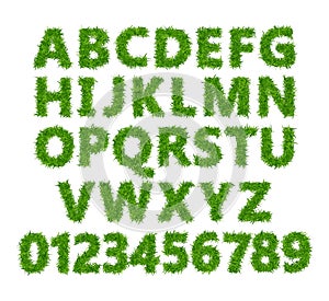 Green grass font. Lawn texture alphabet with numbers on white background.