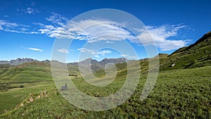 Green grass on the foothills of the Drakensberg