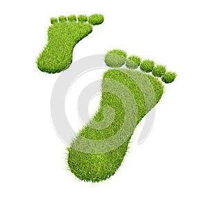 Green grass footprints