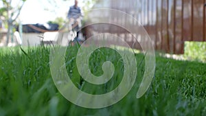 Green grass in the foreground and man with lawn mower approaching in the background. Low angle shot