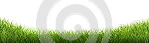 Green Grass Frame Isolated White Background