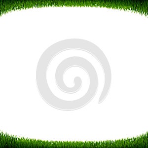 Green Grass Frame White Background