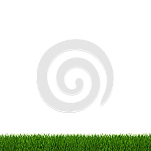 Green Grass Frame White Background