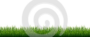 Green Grass Frame White Background