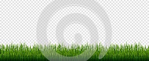 Green Grass Frame White Background