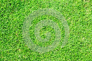 Green grass and goal at the stadium. stadium is place for soccer or football match. people come for cheer their favorite team to