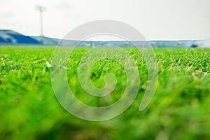 Green grass and goal at the stadium. stadium is place for soccer or football match. people come for cheer their favorite team to