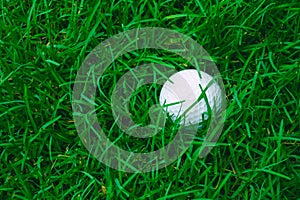 Green grass with golf ball close-up in soft focus at sunlight. Sport playground for golf club concept