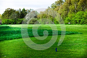 Green grass on the golf fields. Concept with sport field. Landscape view of golf course with trees in the background. Beautiful gr