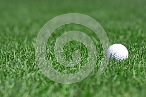 Green grass and golfball