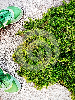 Green grass and green sneakers
