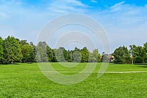 Green grass green trees in beautiful park white Cloud blue sky in noon. - Image