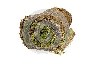 Green grass with ground soil and roots isolated on a white background