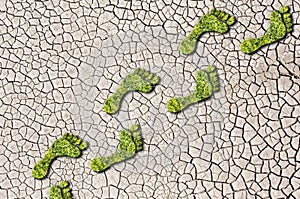 Green grass growing footprints on cracked earth background