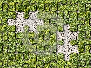 Green grass growing footprints on white background