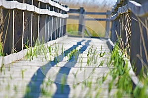 Green grass growing between the planks of a wooden footway