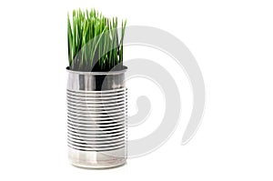 Green grass growing from a recyled aluminim
