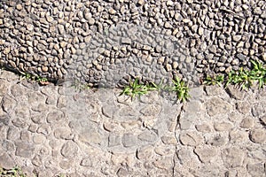 Green grass growing on stone floor background