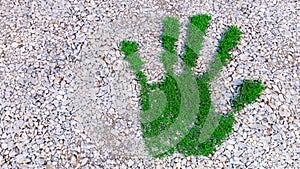 Green grass handprint on gravel background