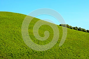Green Grass Hill