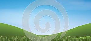 Green grass hill with blue sky. Vector
