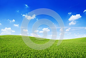 Green Grass Hill and Clear Blue Sky photo