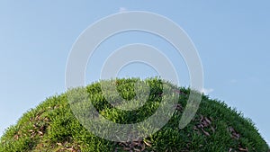 Green grass hill with dead leaf on blue sky. 3D rendering