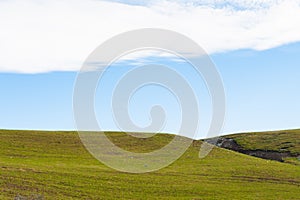 Green grass hill landscape