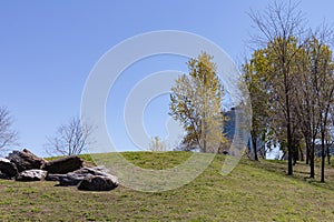 Green Grass Hill with Rocks and Trees during Spring on Roosevelt Island in New York City