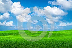 Green grass hills landscape with blue sky summer