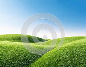 Green grass hills landscape with plain blue sky in the summer