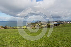 Green grass hills at Shakespear Regional Park, New Zealand