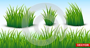 Green grass horizontal texture seamless background