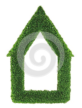 Green grass house frame