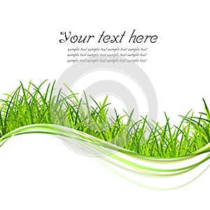 Green grass illustrate photo