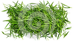 Green grass isolated on transparent background. Top view. Flat lay.