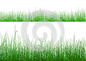 Green Grass - isolated on white