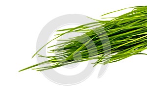 Green grass isolated on white background