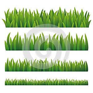 Green Grass, Isolated On White Background