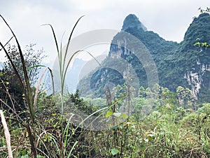 green grass and karst peaks in Yangshuo