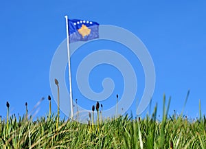 Green grass and Kosovo national flag in background