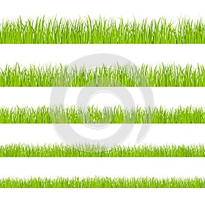 Green grass. Landscaped lawns, meadows border clipart. Isolated organic pasture or garden objects shapes. Lush herb
