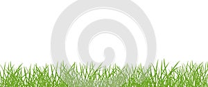 Green grass lawn banner. Border frame isolated transparent background. Vector flat Illustration on white background