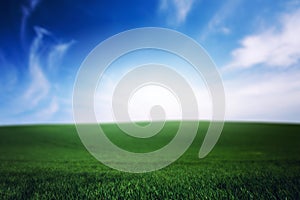 Green grass lawn and blue cloudy sky. Nature idyllic world