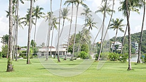 Green grass lawn field near sea coast beach under coconut palm trees groove in summer tropical beach resort vacation under