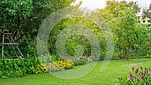 Green grass lawn in a garden with random pattern of grey concrete stepping stone , Flowering plant, shurb, trees on backyard