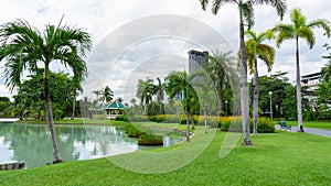 Green grass lawn beside a lake, palm tree on background in garden